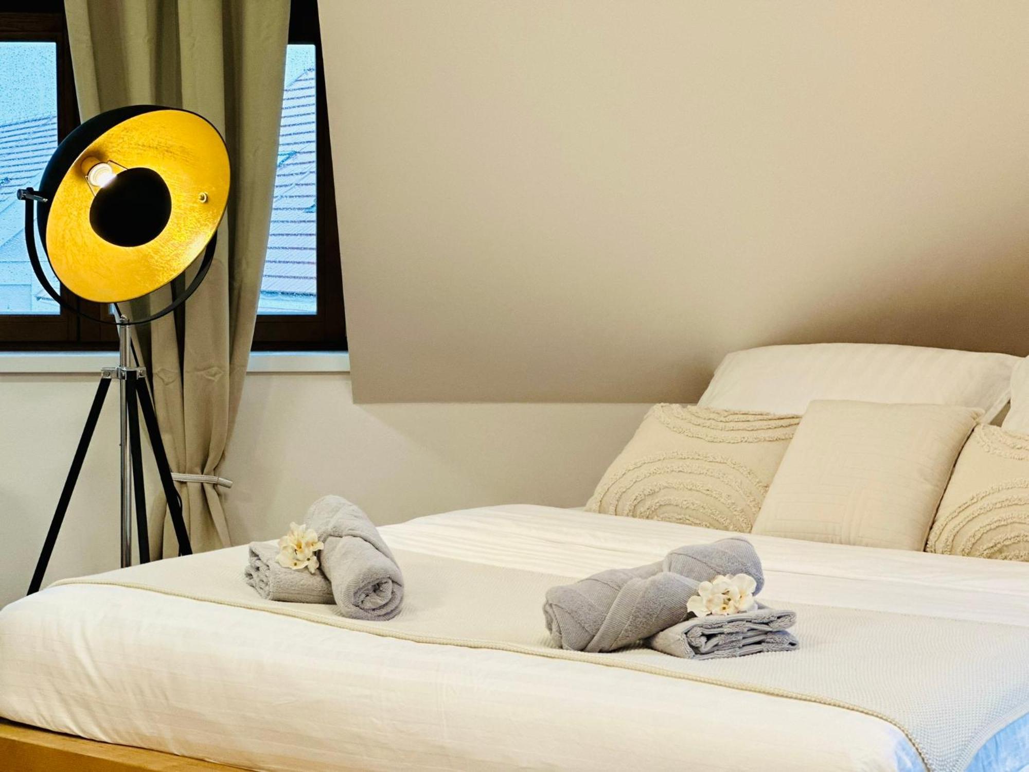 Kralovice Apartamento